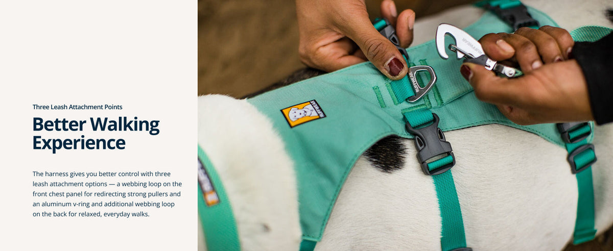 Ruffwear Flagline leichtes Mehrzweck-Hundegeschirr, Salbeigrün